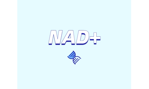 NAD+ 對身體有什么作用？如何獲取 NAD+？