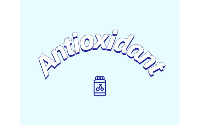 抗氧化劑與功能性食品如何守護健康？